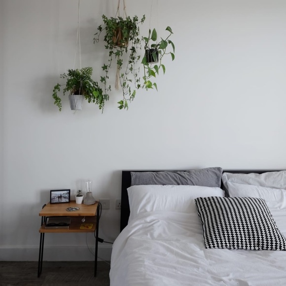 Meet your Posher, Drew - Picture 1 of 1